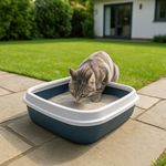 Arena para Gato Premium Aroma Lavanda 8 kg