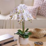 Orquídea Blanca con Maceta Artificial Redonda