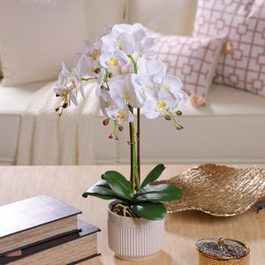 Orquídea Blanca con Maceta Artificial Redonda