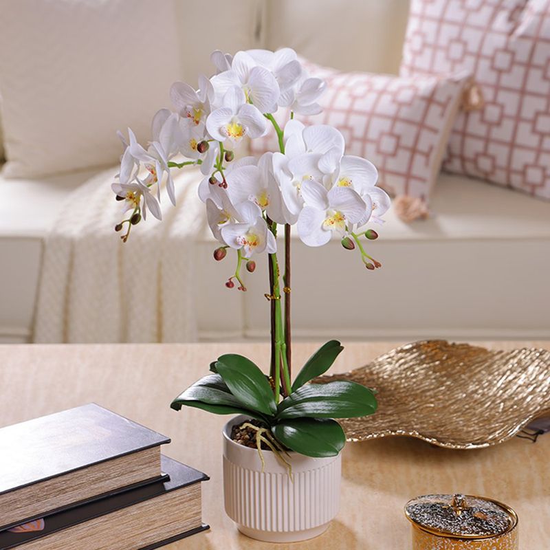 Orquídea Blanca con Maceta Artificial Redonda