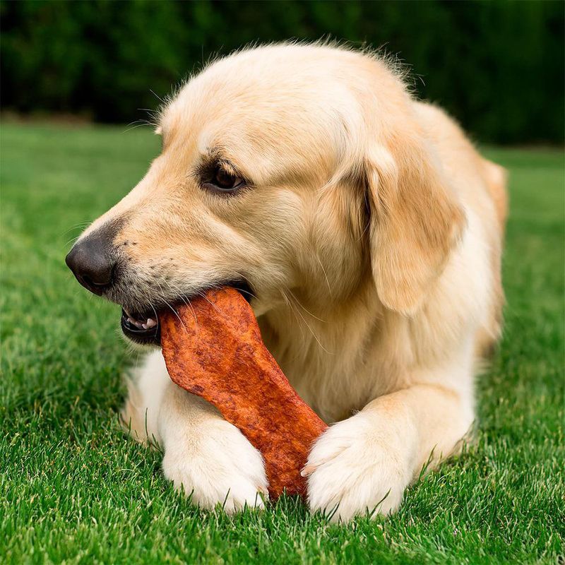 Frasco de Galletas de Carnaza 374 Grs