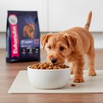 Alimento para Perro Cachorro Raza Pequeña Sabor a Pollo 3 Kg