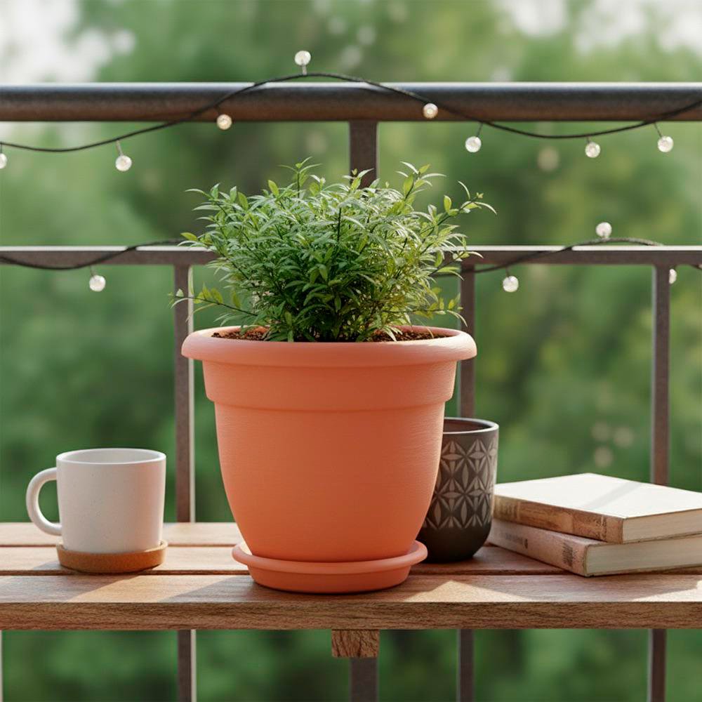 Maceta Plástico 3 Pulgadas Cactus O Suculentas 100pz Con Env | Envío Gratis