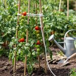 Lazo Nylon 1/4 x 1 M Uso Pesado