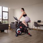 Bicicleta de Spinning Shockpower
