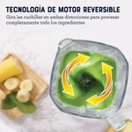 Licuadora Profesional Xtreme Mix