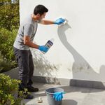 Removedor e Inhibidor de Hongos, Algas y Moho