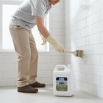 Removedor e Inhibidor de Hongos, Algas y Moho