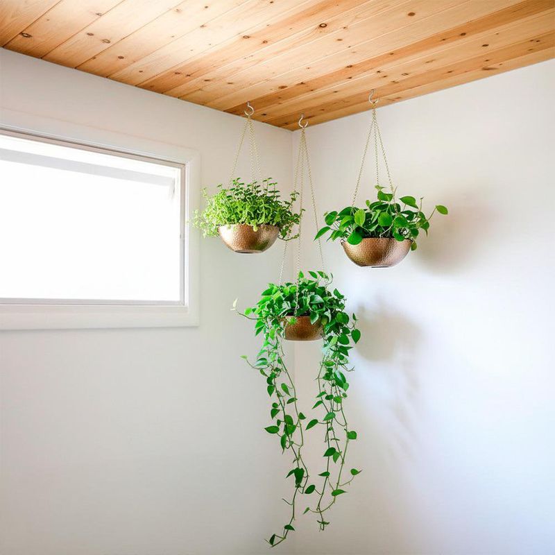 Armella Abierta 3 1/8 Plg 6 Pzas