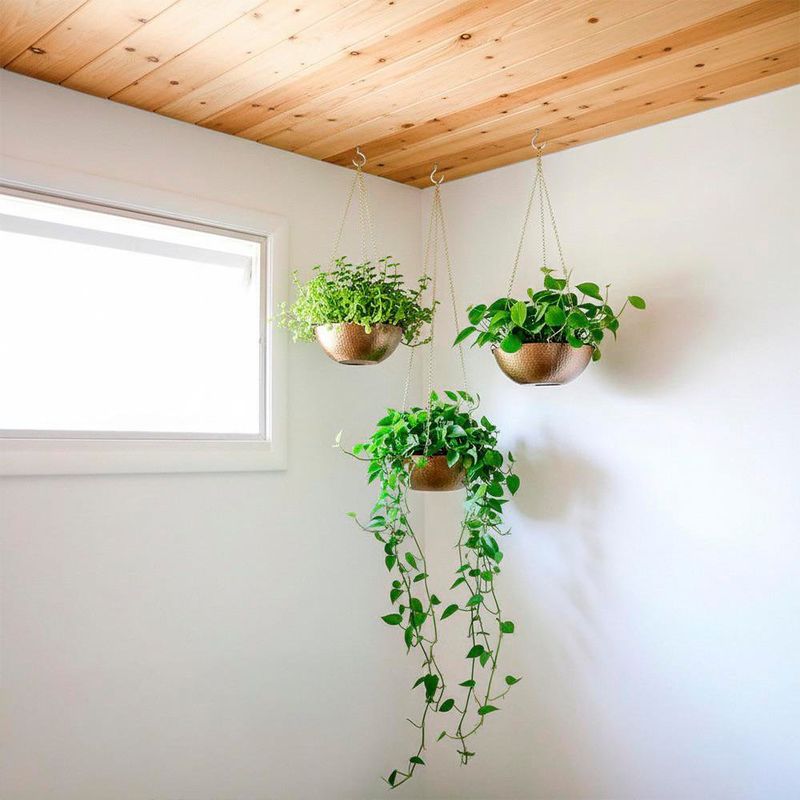 Set de 6 Armellas Abiertas Metálicas para Sujeción de 3 3/4 Plg