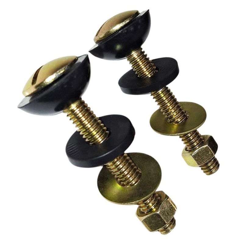 2 Tornillos para Tanque de Sanitario a Base 5/16 Plg x 70 Mm