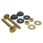 2 Tornillos para Tanque de Sanitario a Base 5/16 Plg x 70 Mm