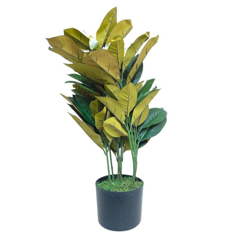 Árbol Magnolia con Pote 30 x 60 cm