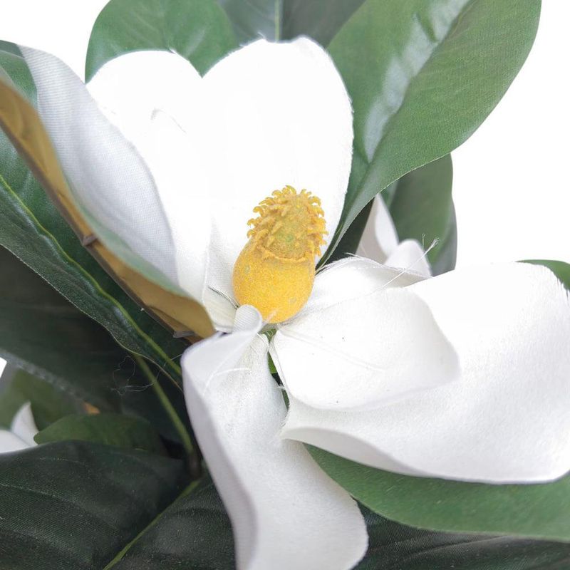 Árbol Magnolia con Pote 30 x 60 cm