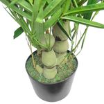 Planta de Bambú con Pote 30 x 120 cm