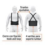 Cinturón de Seguridad Grande