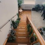 Cinta Antideslizante Transparente Tipo Safety-Walk