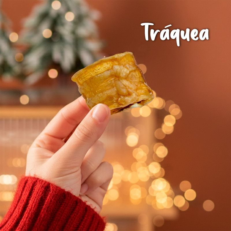 Triangulo Navideño de Alimento Deshidratado para Mascota