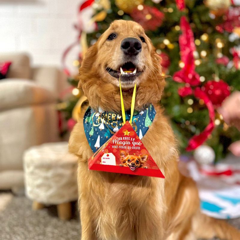 Triangulo Navideño de Alimento Deshidratado para Mascota