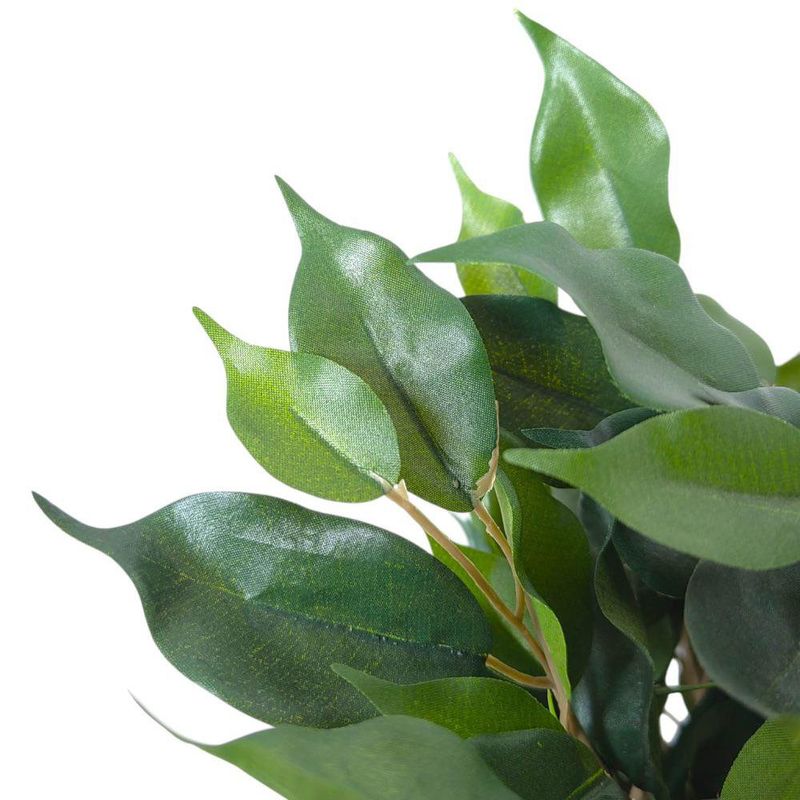 Planta Ficus en Maceta 28X28X40 cm