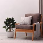 Planta de Hule en Maceta 40X40X80 cm