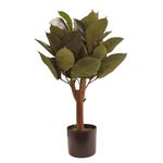 Árbol de Hule en Maceta 40X40X70 cm