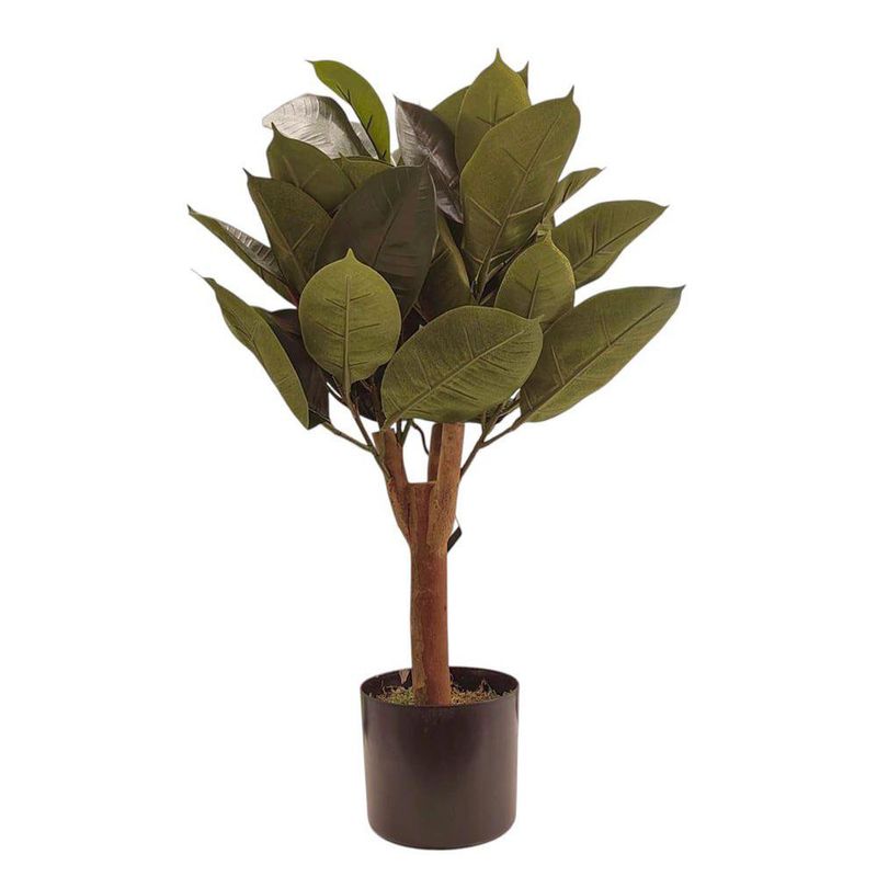 Árbol de Hule en Maceta 40X40X70 cm