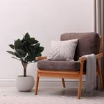 Árbol de Hule en Maceta 40X40X70 cm