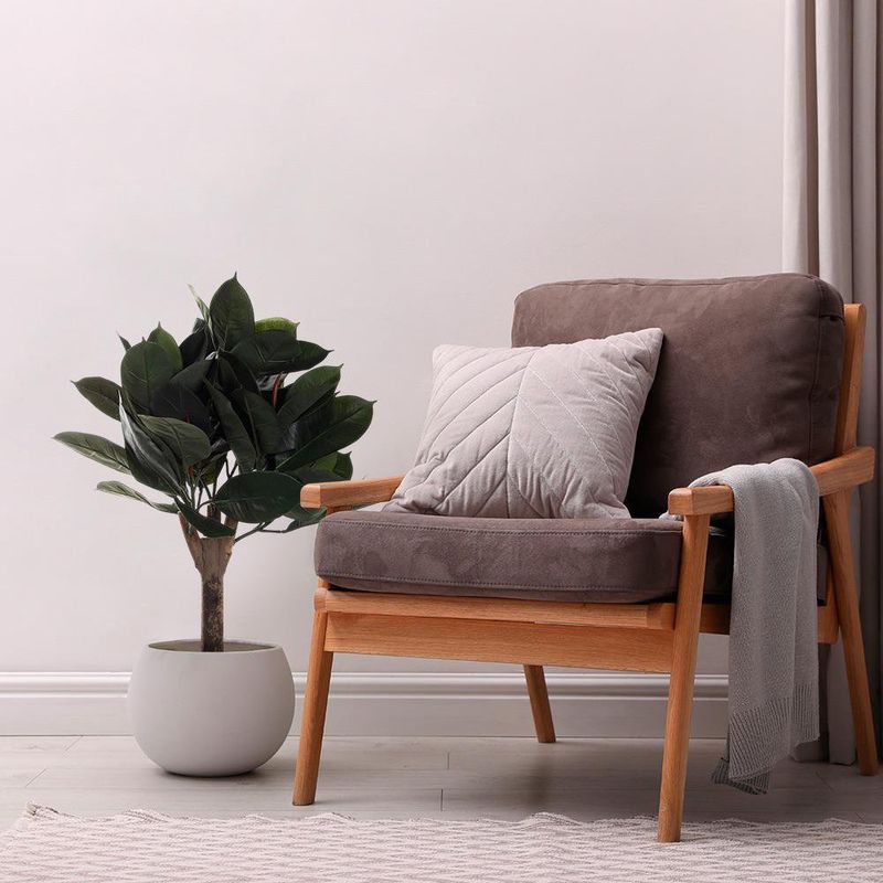 Árbol de Hule en Maceta 40X40X70 cm