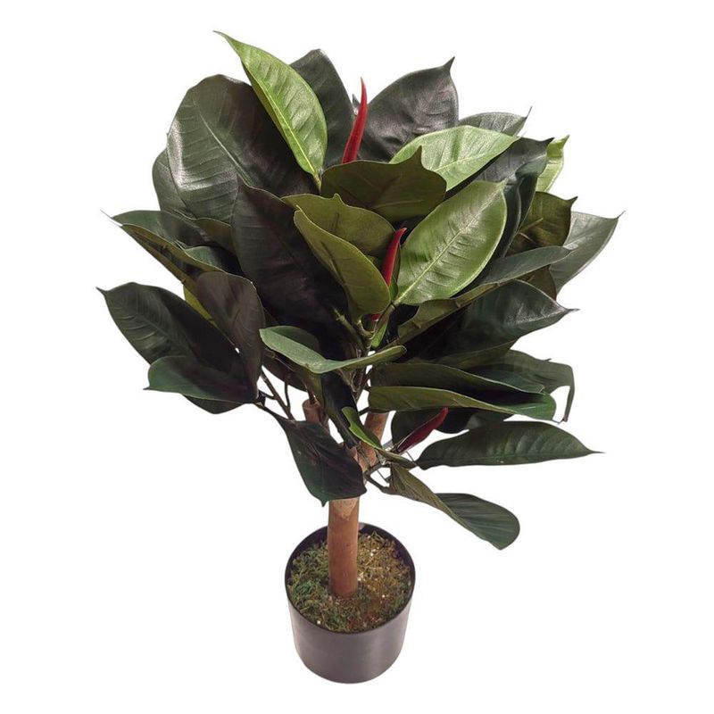 Árbol de Hule en Maceta 40X40X70 cm