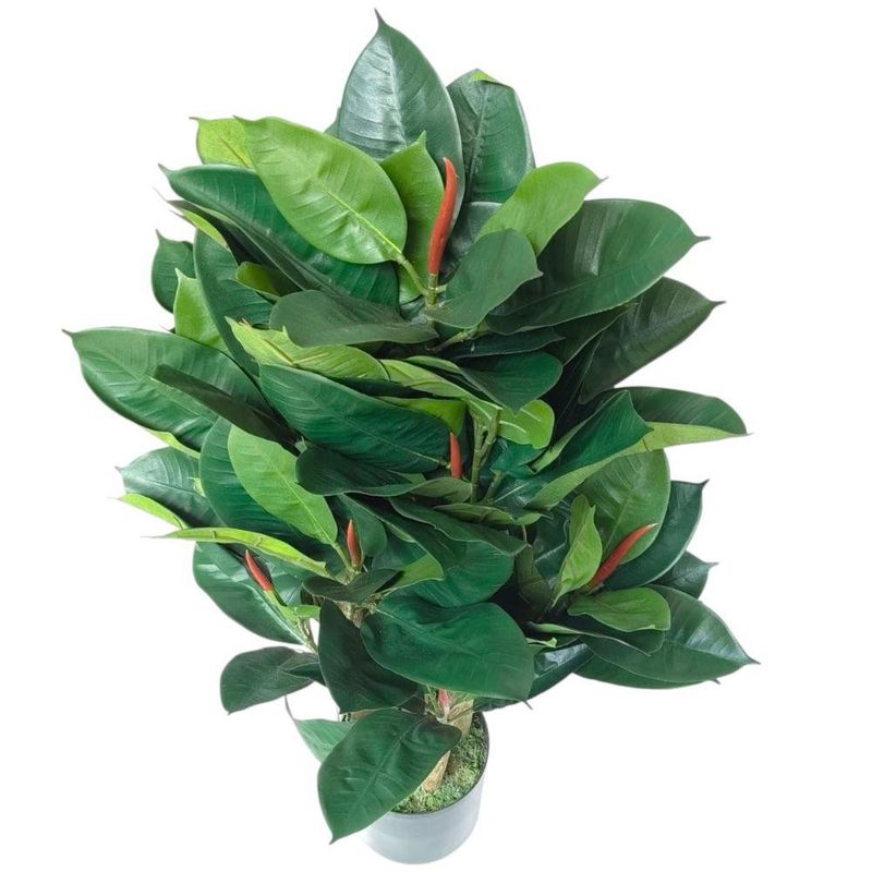 Árbol de Hule en Maceta 46X46X90 cm