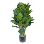 Árbol de Hule en Maceta 46X46X90 cm