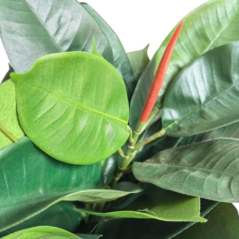 Árbol de Hule en Maceta 46X46X90 cm