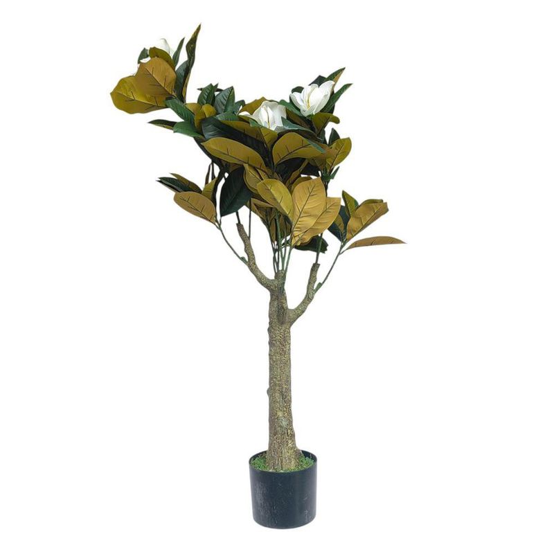 Árbol Magnolia en Maceta 43X43X120 cm