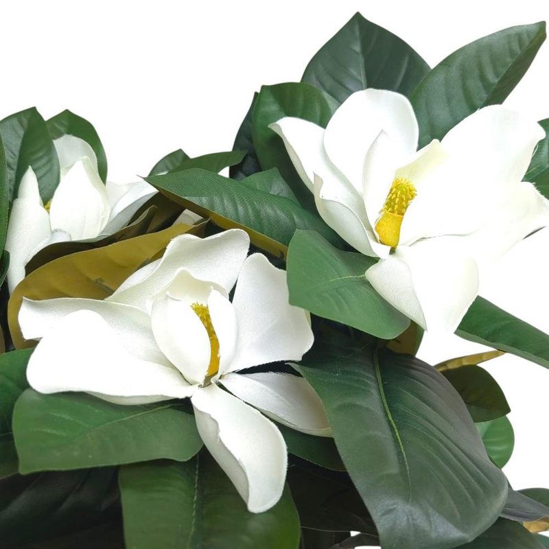 Árbol Magnolia en Maceta 43X43X120 cm