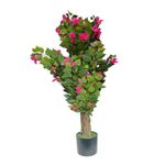 Árbol Bugambilia en Maceta 45X45X100 cm