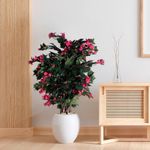 Árbol Bugambilia en Maceta 45X45X100 cm