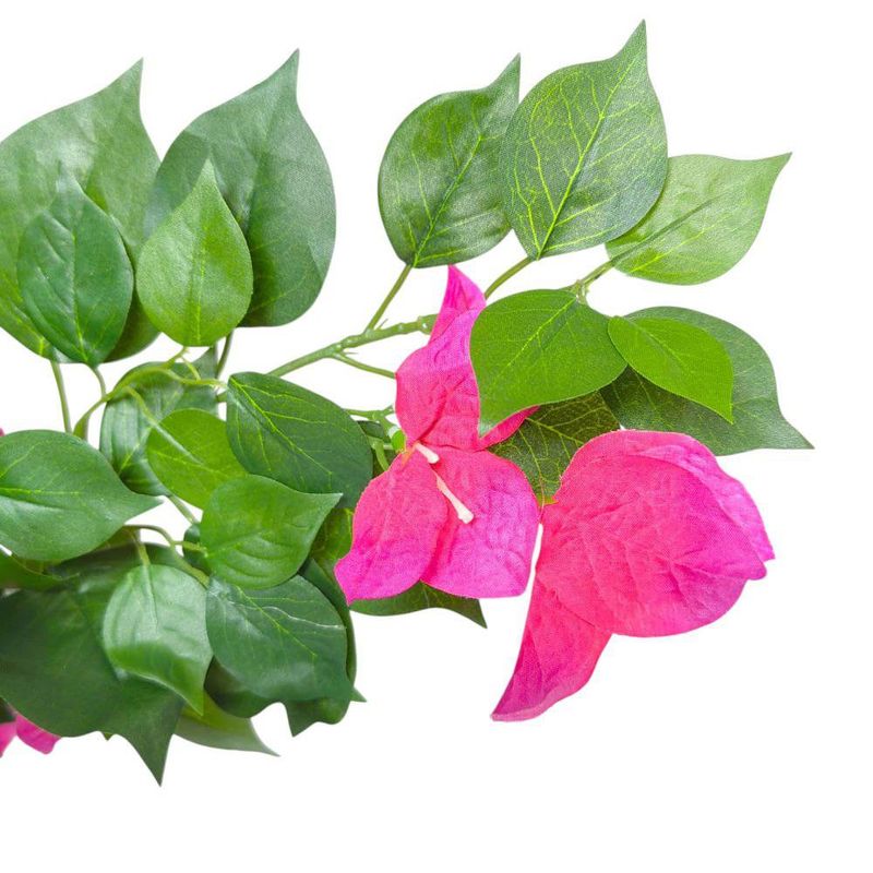 Árbol Bugambilia en Maceta 45X45X100 cm