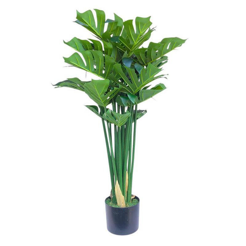Planta Monstera en Maceta 40X40X90 cm