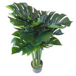 Planta Monstera en Maceta 40X40X90 cm