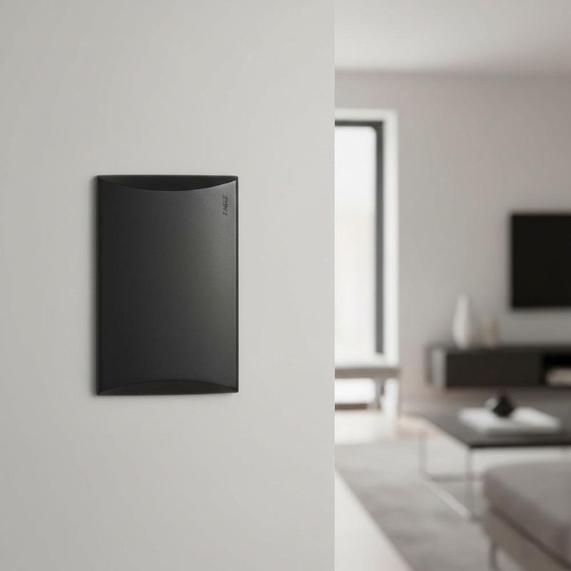 Placa Ciega Plata Negro