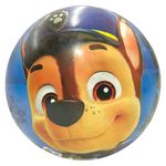 Pelotas Disney de 9 Plg Diseños Surtidos