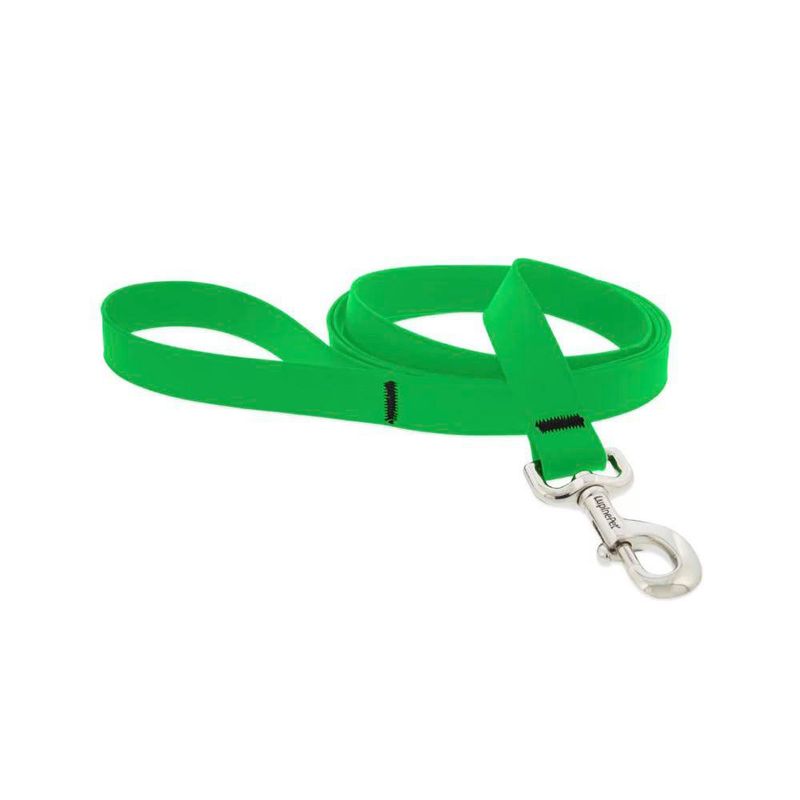 Correa para Perro Splash Verde Neón