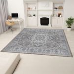 Alfombra de Área Silk 230 x 300 Cm