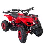 Cuatrimoto Eléctrica para Niños con Parrilla FX800 Colores Surtidos