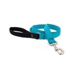 Correa de Nylon para Perro Color Aqua 152 Cm