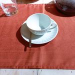 Individual de Tela Color Terracota 33 x 47 Cm