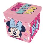 Taburete de Almacenamiento Minnie