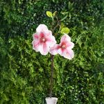 Rama Decorativa Magnolia Artificial