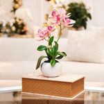 Orquídea Decorativa con Pote